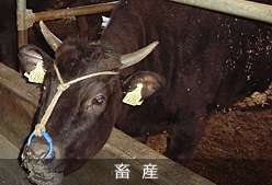 畜産