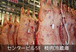 センタービル5F 枝肉冷蔵庫