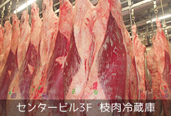 センタービル3F 枝肉冷蔵庫