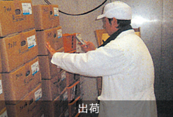 出荷