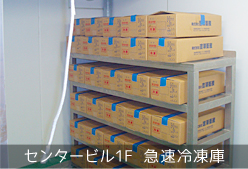 センタービル1F 急速冷凍庫